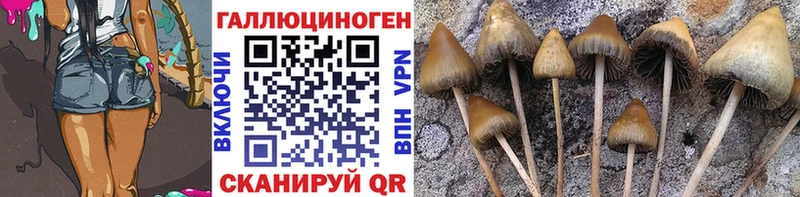 Купить закладки  Кяхта  Псилоцибиновые грибы MAGIC MUSHROOMS 